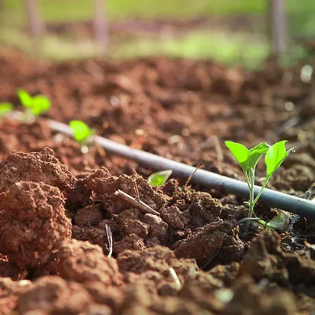 Azienda Agrituristica Il Pago 新锡里马里纳