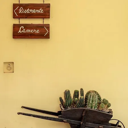 Azienda Agrituristica Il Pago Lantgård *