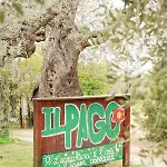 Azienda Agrituristica Il Pago *