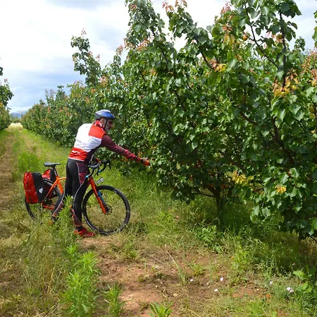 Azienda Agrituristica Il Pago * Nova Siri Marina