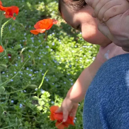 Azienda Agrituristica Il Pago *