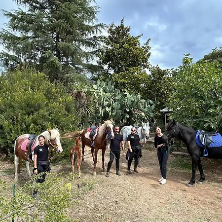 Azienda Agrituristica Il Pago