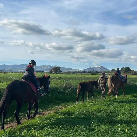 Azienda Agrituristica Il Pago Nova Siri Marina