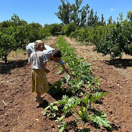 Farm stay Azienda Agrituristica Il Pago