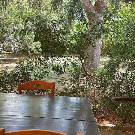 Azienda Agrituristica Il Pago Farm stay *
