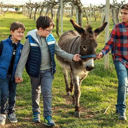 Çiftlik konaklama Azienda Agrituristica Il Pago