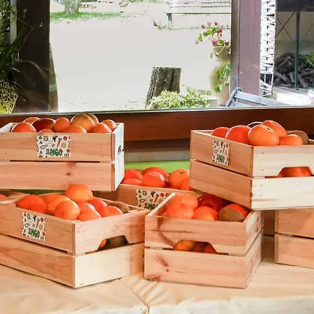 Azienda Agrituristica Il Pago Çiftlik konaklama