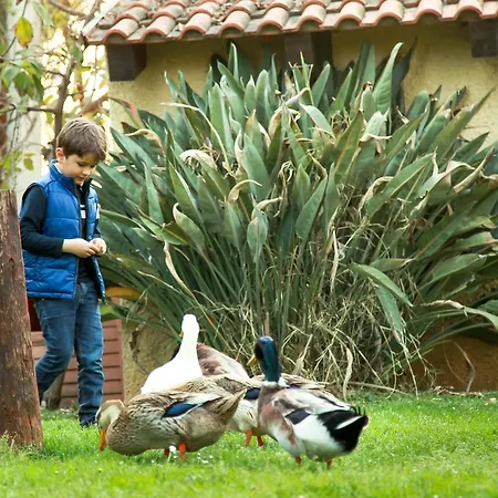 Azienda Agrituristica Il Pago Nova Siri