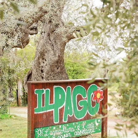 Azienda Agrituristica Il Pago *
