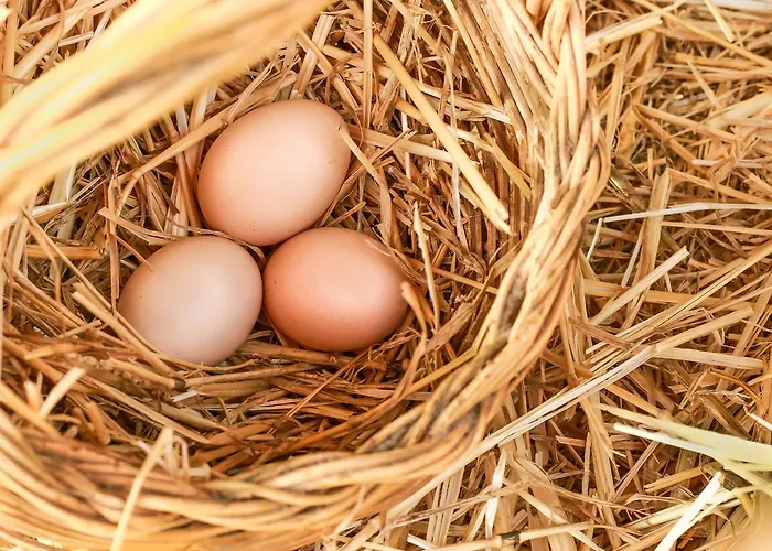 Azienda Agrituristica Il Pago *